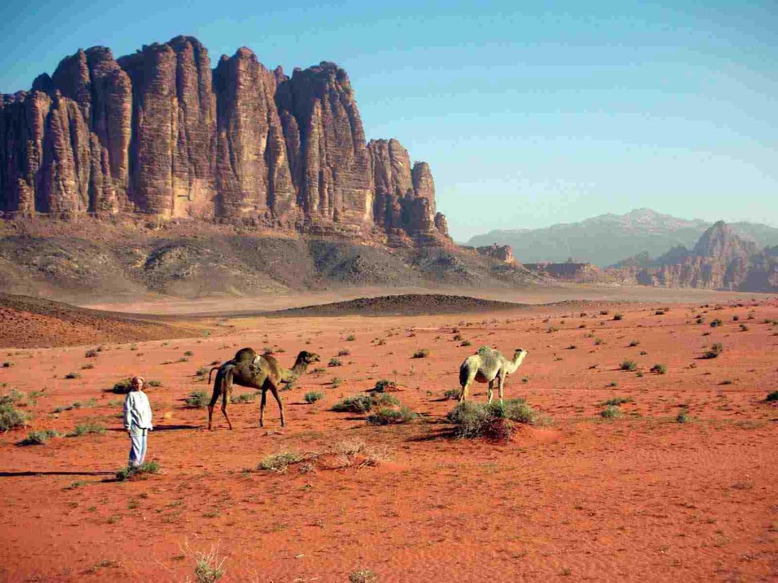 Wadi Rum Caeser Camp Ξενοδοχείο Εξωτερικό φωτογραφία