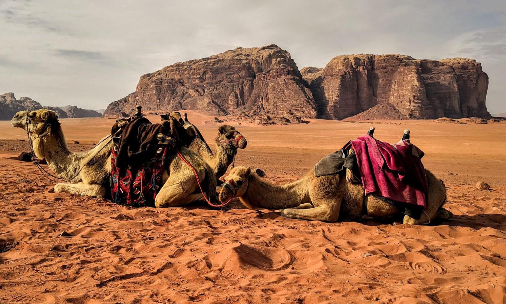 Wadi Rum Caeser Camp Ξενοδοχείο Εξωτερικό φωτογραφία